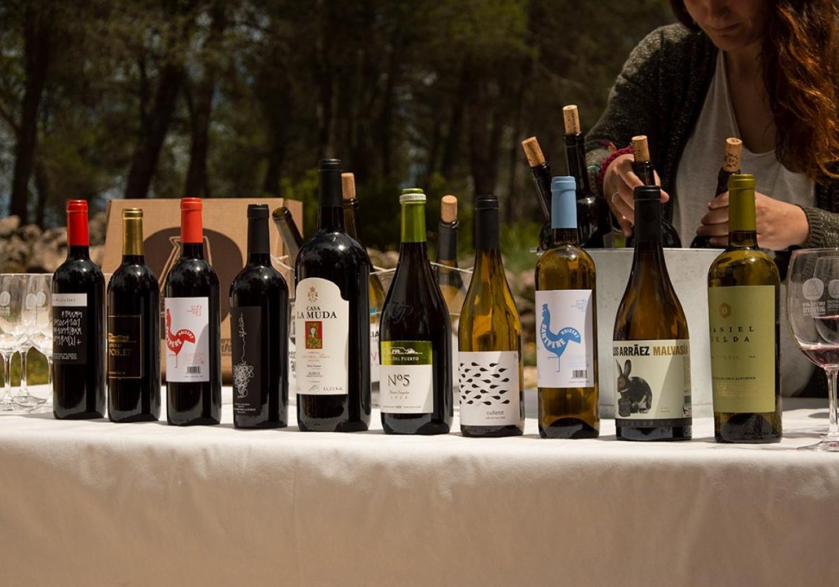 Vinos de Terres dels Alforins.