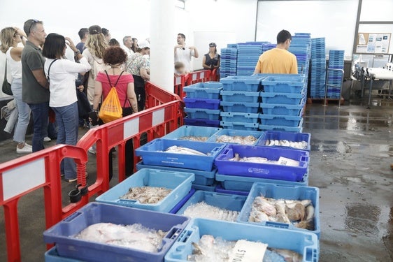 Los participantes en la ruta junto a las cajas de pescado recién descargas en el Pòsit.