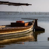 Cientos de aves acuáticas hacen vida en las aguas del paraje natural de la Albufera durante todo el año.