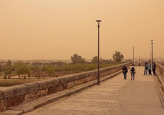 Polvo en suspensión.