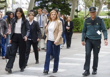 La delegada del Gobierno, el día que acudió a declarar como testigo.