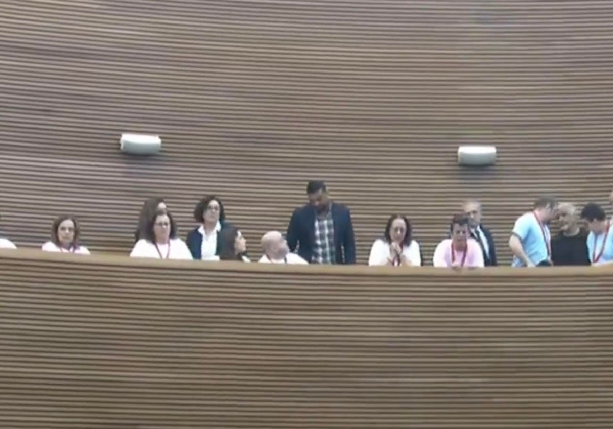 El pspv pone en su punto de mira a la presidenta voxista de les corts y a su equipo | las provincias