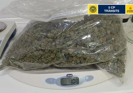 Parte de la marihuana requisada.
