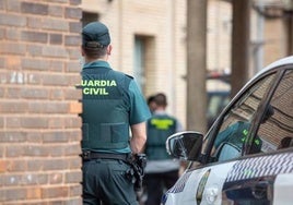 La Guardia Civil ha efectuado la detención.
