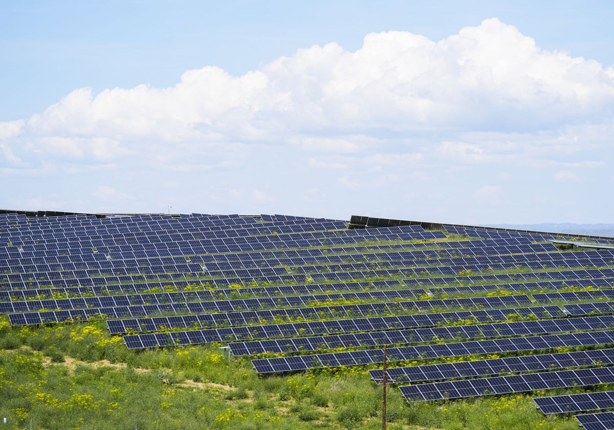 La Fiscalía de Valencia cuestiona las evaluaciones ambientales de las plantas fotovoltaicas de Renovalia