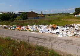 Vertedero ilegal en un huerto abandonado de Vara de Quart