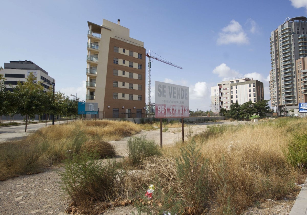 El Ayuntamiento de Valencia inyecta 8 millones de euros a Aumsa para viviendas de alquiler asequible