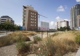 Zona de las Moreras donde se construyen nuevas fincas.