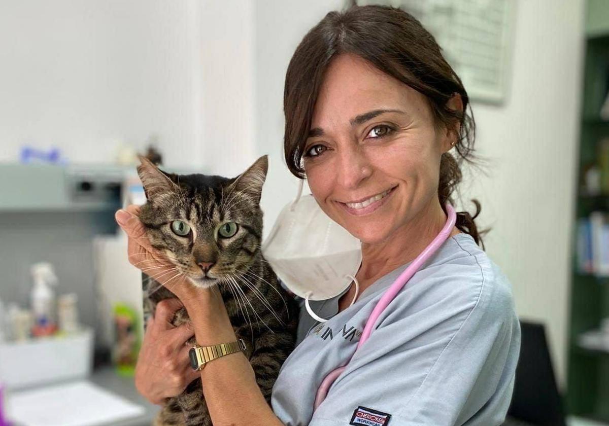 Veterinarios de la zona dana afrontan una subida de plagas por la humedad