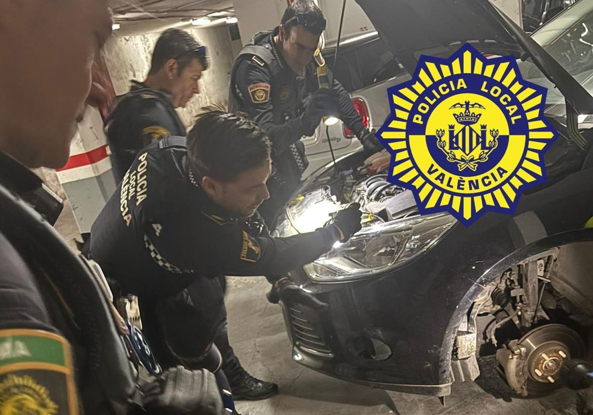 Sacan una culebra venenosa de tres metros del interior del motor de un coche en Valencia