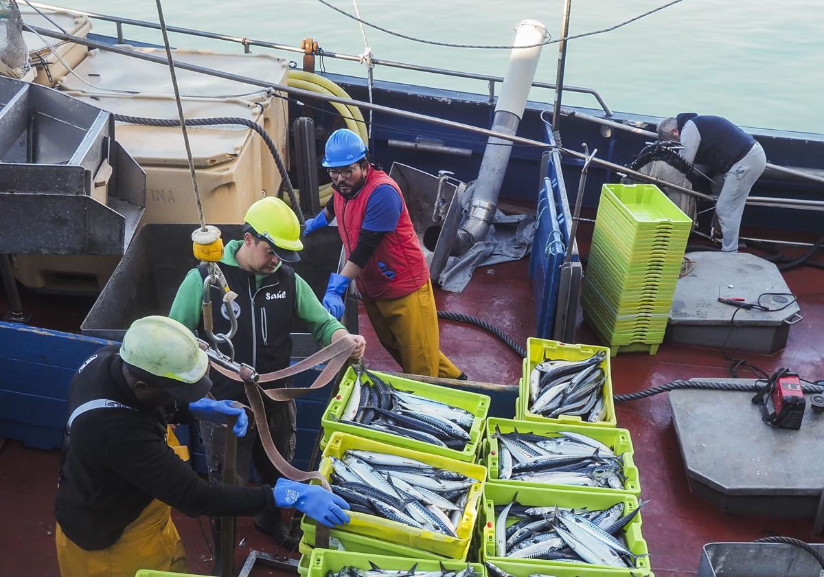 Pescadores en un barco.