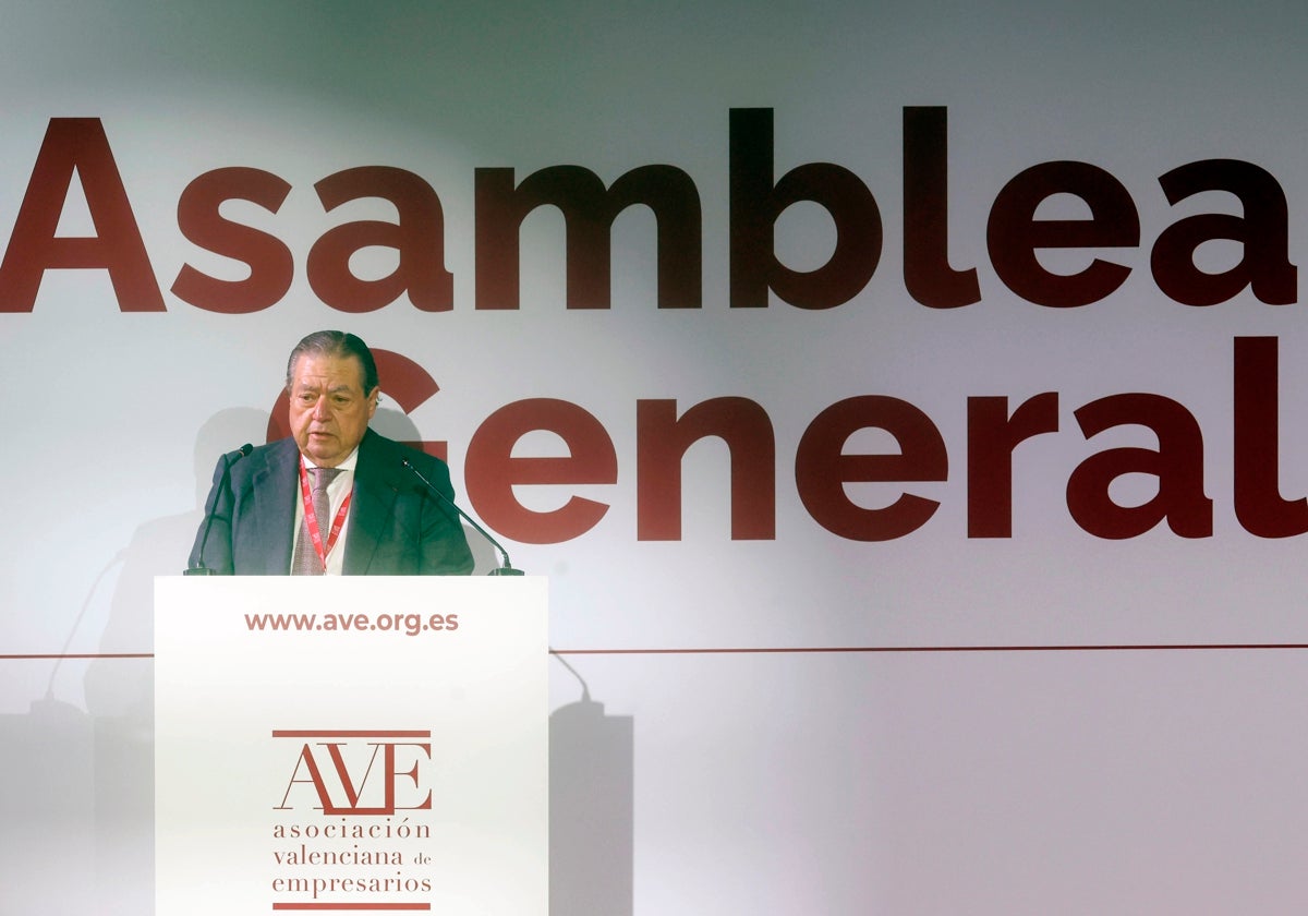 Vicente Boluda, en la asamblea general de AVE.