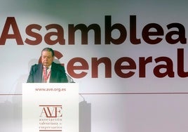 Vicente Boluda, en la asamblea general de AVE.