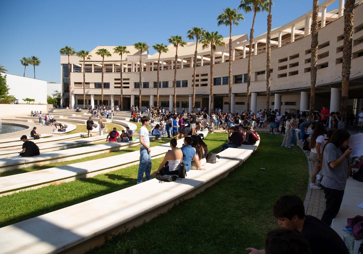 ¿Cuándo salen las notas de la Selectividad 2025 en la Universidad de Alicante?