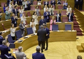 Diputados del PP y el Consell, aplaudiendo la votación.