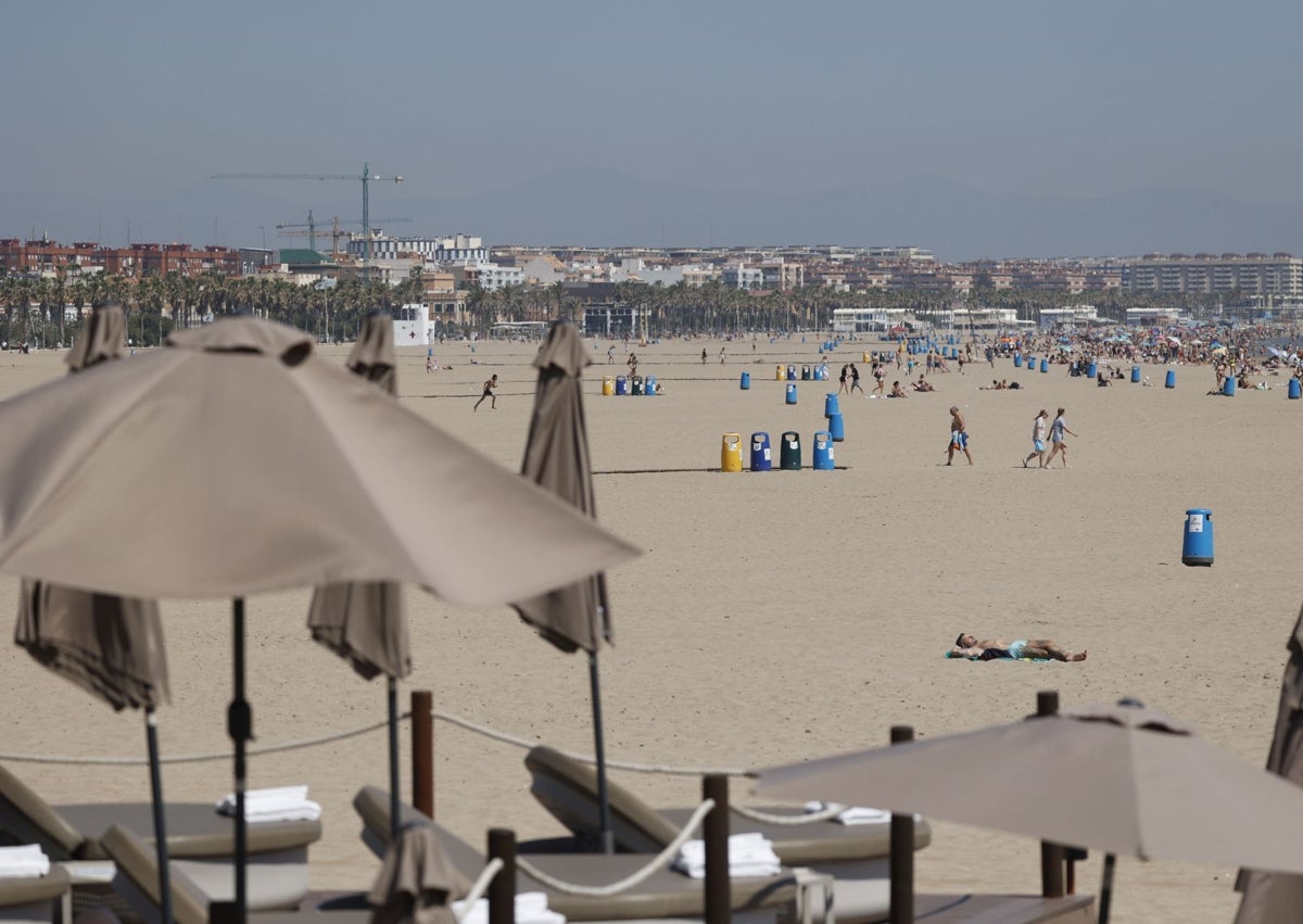Imagen secundaria 1 - Playa llena de bañistas, única zona de tumbonas en Marina Beach y almacén con hamacas.