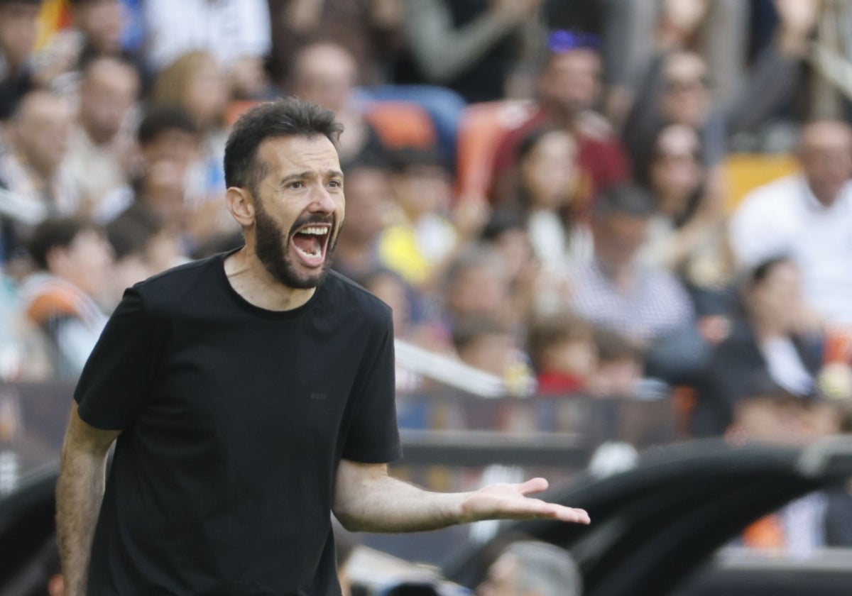 Corberán: «la llegada de ron gourlay es un gran impulso» | las provincias