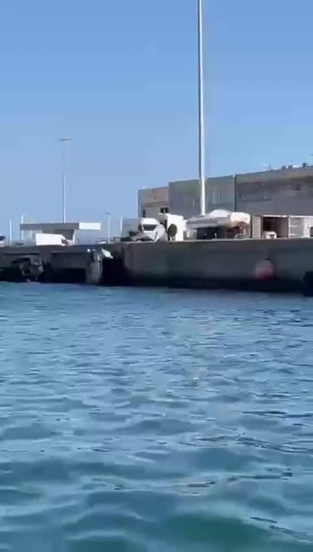 Aparecen jabalíes bañándose en el puerto de Dénia