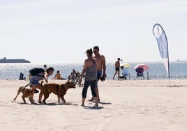 Playa can instalada otros años en el mes de junio en Pinedo.