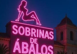 El proyecto que se ha colado en la página de iniciativas ciudadanas del Ayuntamiento.