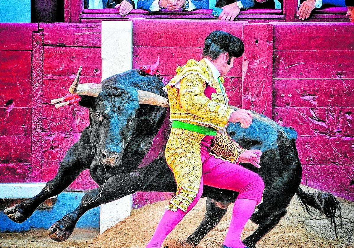 Concierto de morante: no se puede torear mejor o sí | las provincias