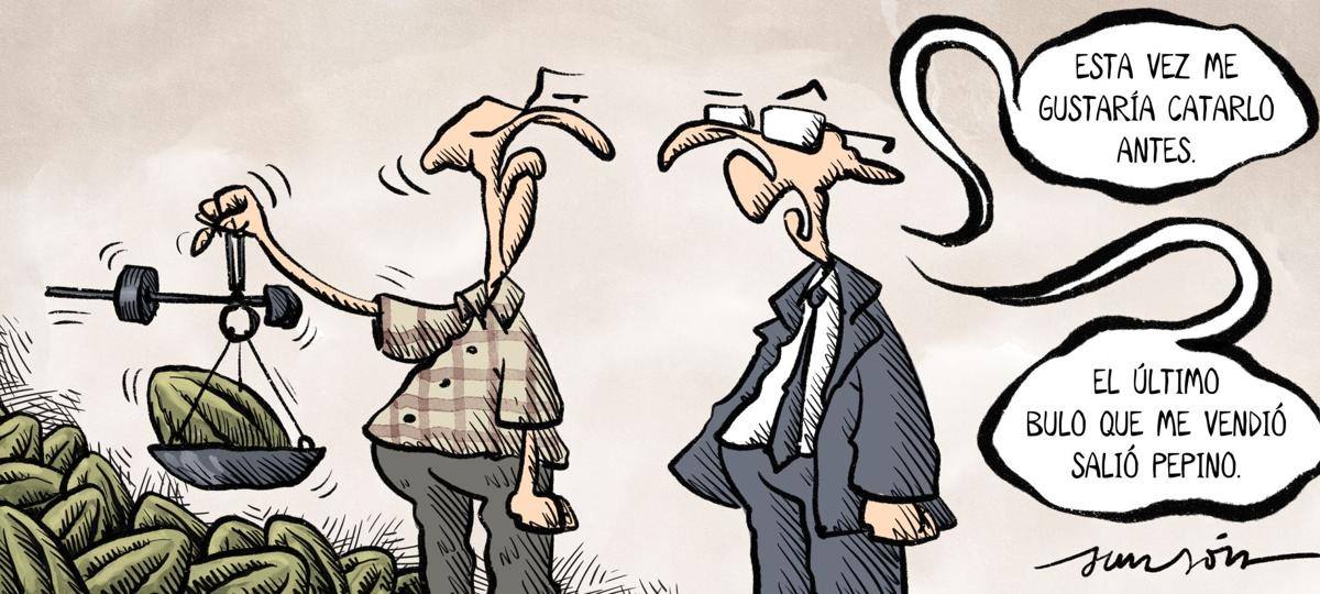 La viñeta de sansón | las provincias