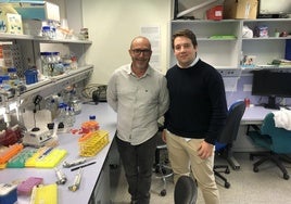 Diego Orzáez y Ángel Marí, en el laboratorio del Grupo de Genómica y Biotecnología en la Politécnica.