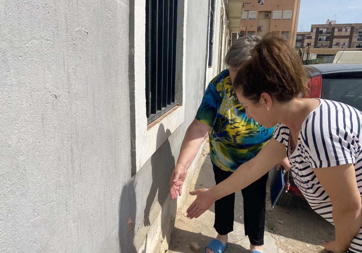 El boom de las plagas por la lluvia y el calor: chinches de campo, polillas, cucarachas y roedores