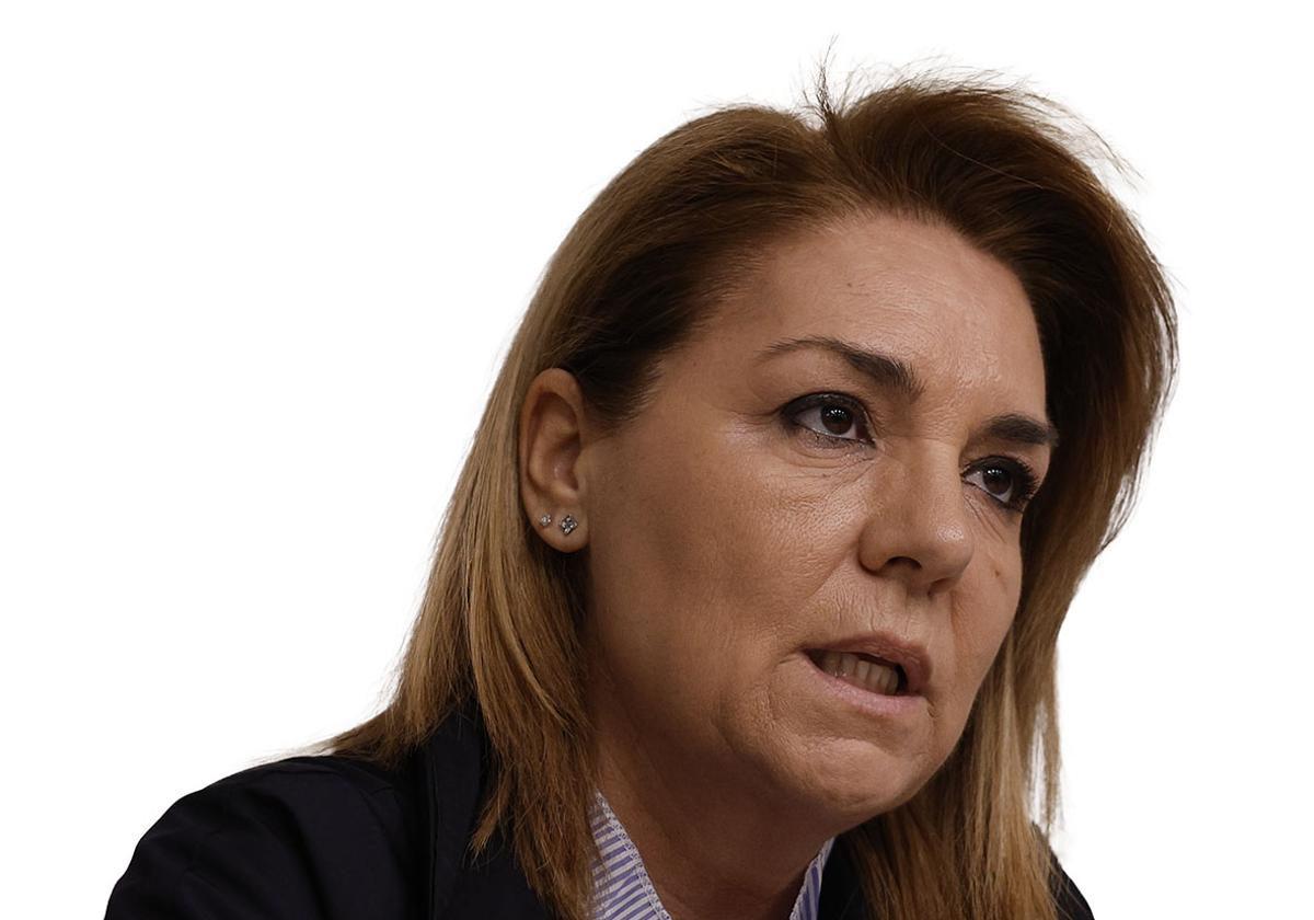 Camarero carga contra el jefe de Aemet: «Es irresponsable tildar de fantasía acertar con las previsiones» | Las Provincias