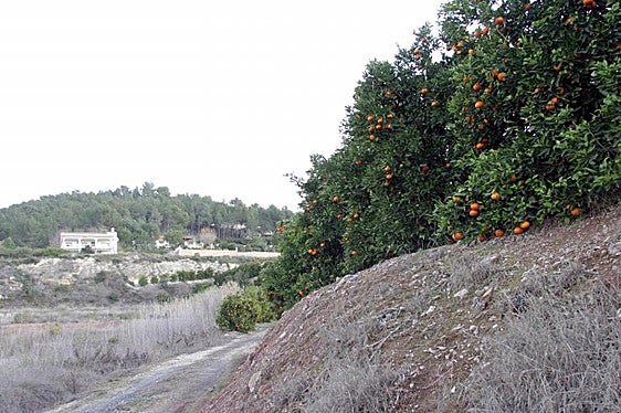 Partida del Carraixet de Xàtiva.