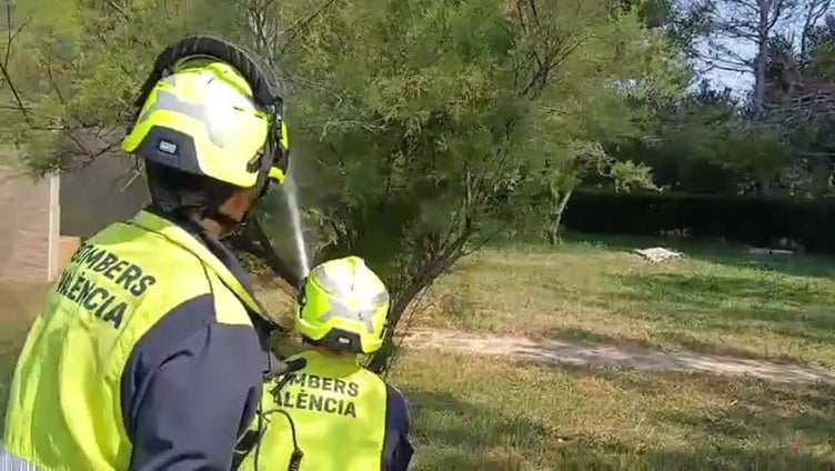 El Ayuntamiento de Valencia dobla la vigilancia de Policía y Bomberos para evitar riesgos de incendios en El Saler