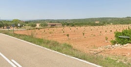 Zona en la que fue detenido el fugitivo, en el término municipal de Navarrés.
