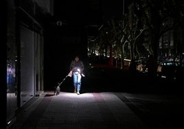 Una mujer pasea a su perro durante el apagón.