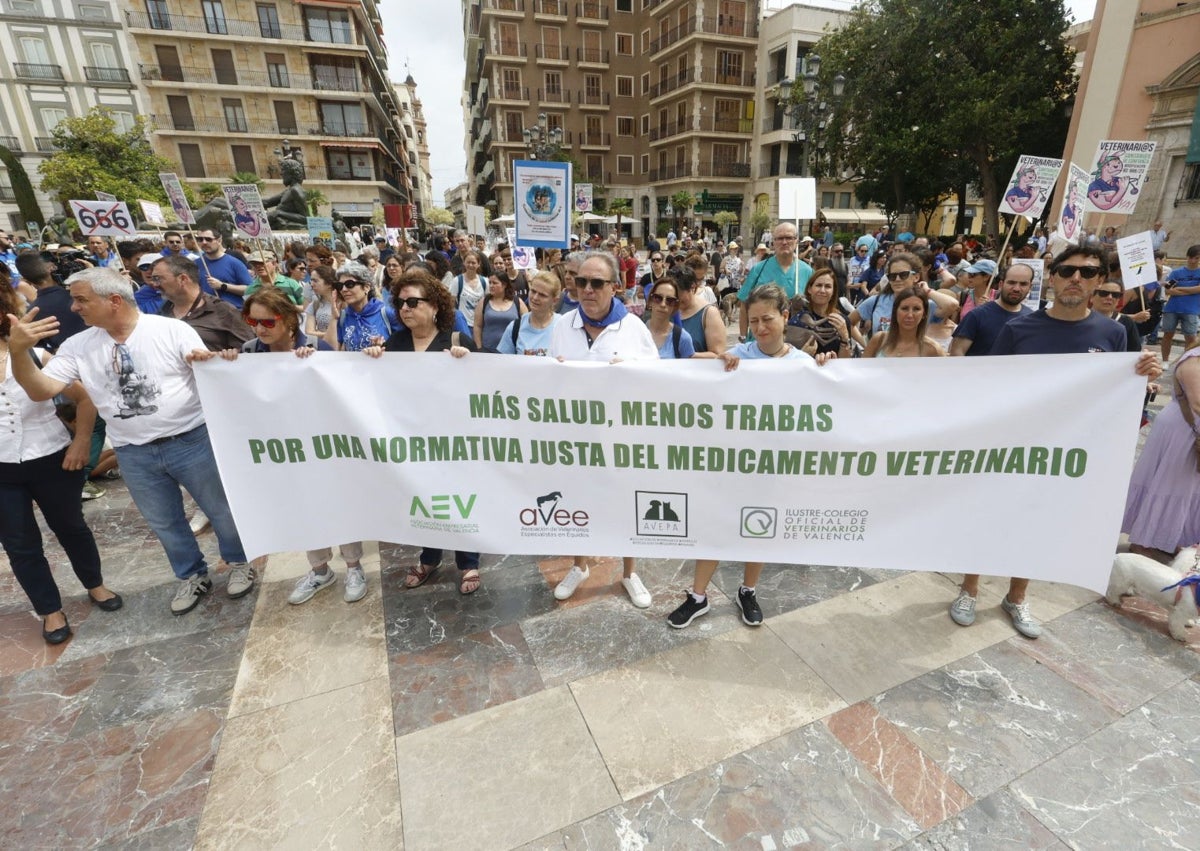 Imagen secundaria 1 - Más de 400 veterinarios estallan en Valencia contra el Gobierno: «Eso no es velar por el bienestar animal»