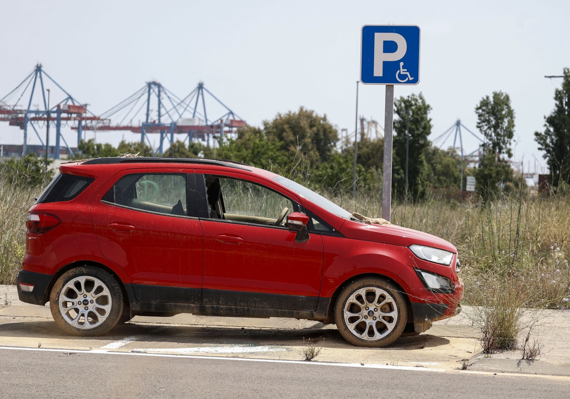 FOTOS | Coches afectados por la DANA, ocho meses después en la ZAL del puerto de Valencia