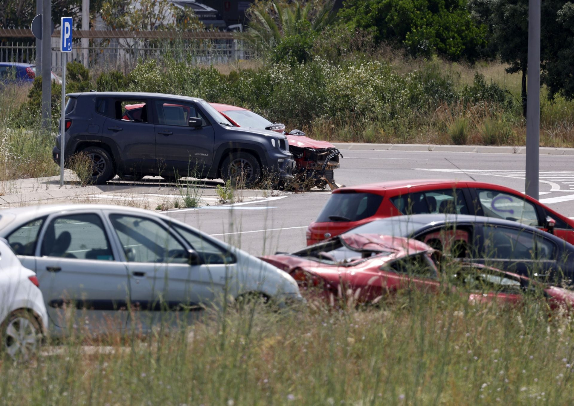 FOTOS | Coches afectados por la DANA, ocho meses después en la ZAL del puerto de Valencia