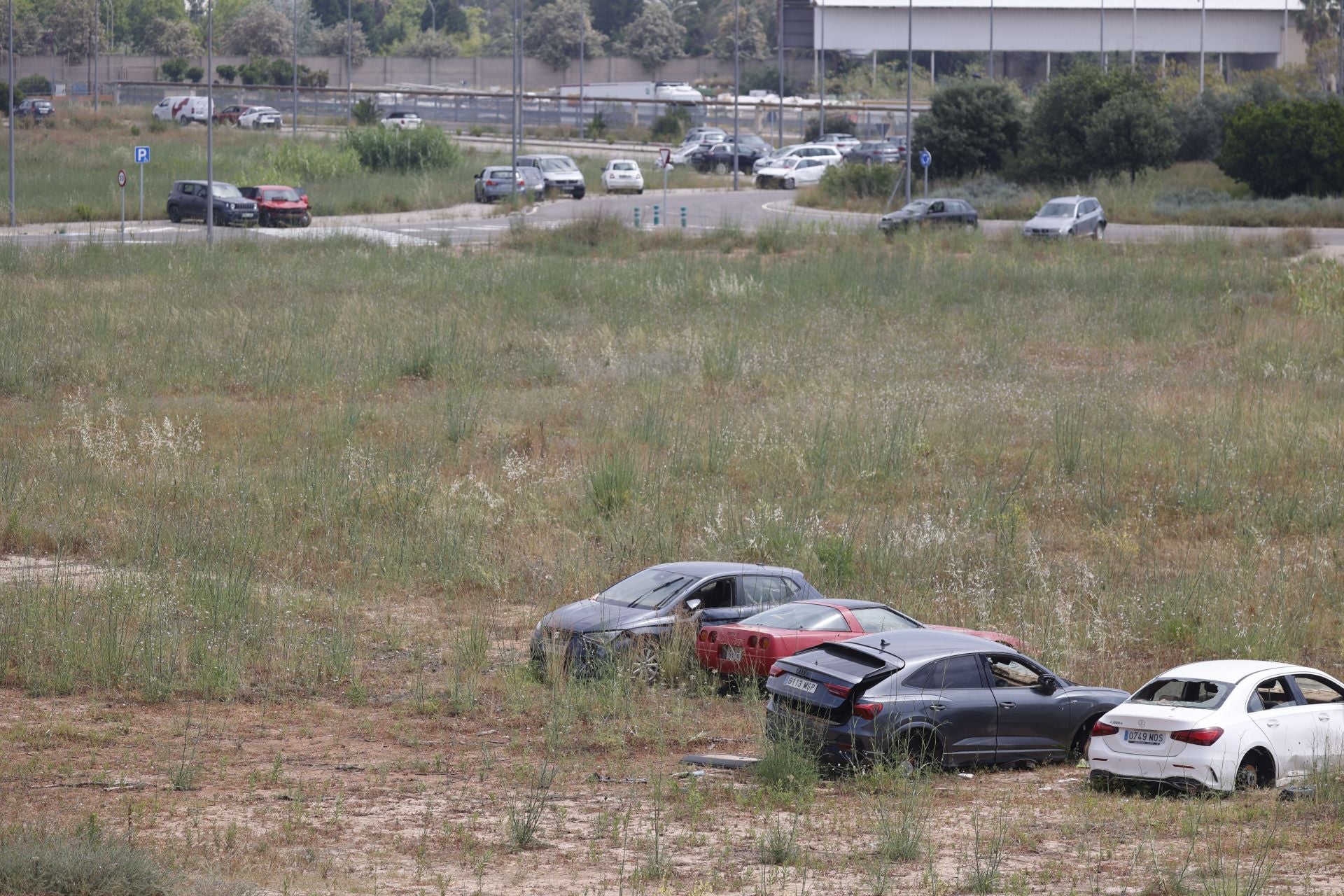 FOTOS | Coches afectados por la DANA, ocho meses después en la ZAL del puerto de Valencia