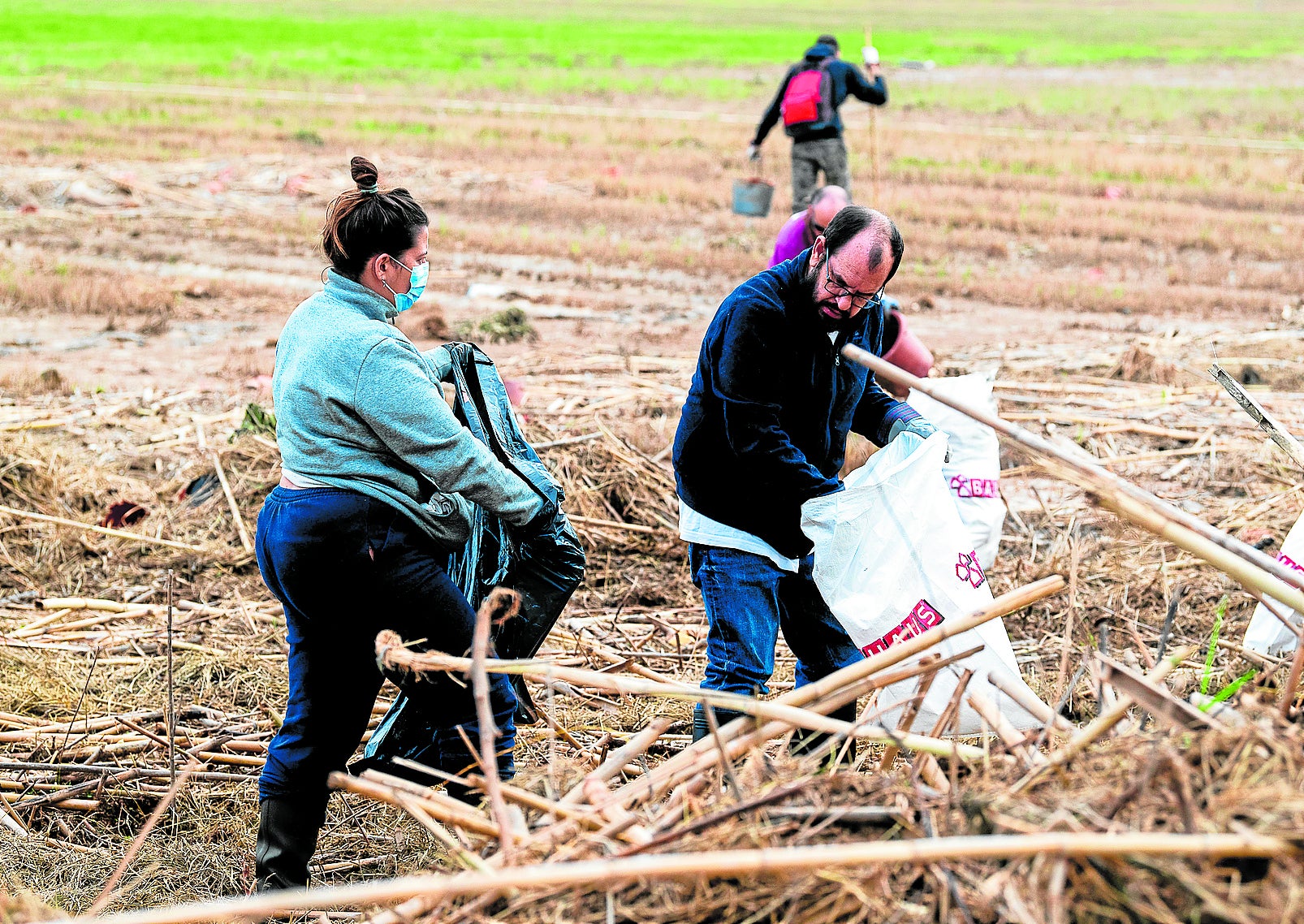 Voluntarios limpiando la Albufera.