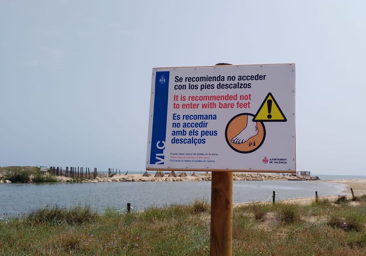 Catalá: «Durante tiempo vamos a tener que convivir con los restos de las cañas en las playas del sur»