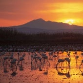 Postales para resurgir del barro