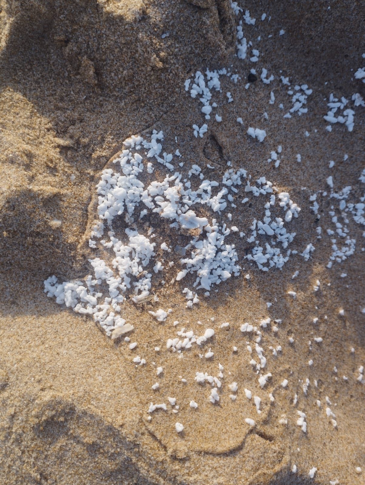 Cinco pueblos de la Safor cierran sus playas tras hallar un material desconocido en la arena