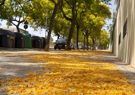 La acera teñida de amarillo en una calle de la urbanización de Valterna, en Paterna.