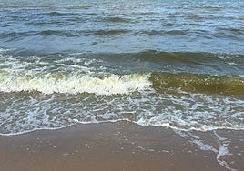 Agua teñida de verde en la playa de El Perellonet.