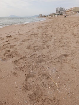 La playa de Daimús, en la mañana de este martes.