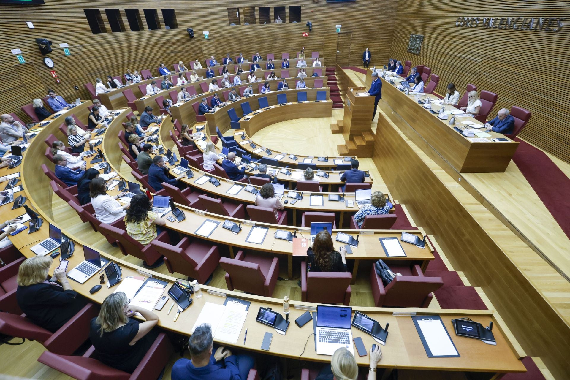 Fotos del pleno de les Corts (11 de junio de 2025)