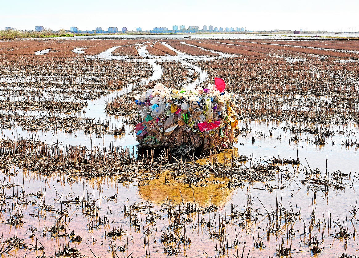 Resto de basura en el lago de la Albufera, tras la dana, en una imagen de archivo.
