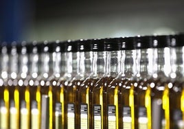 Varias botellas de aceite de oliva virgen extra en una imagen de recurso.