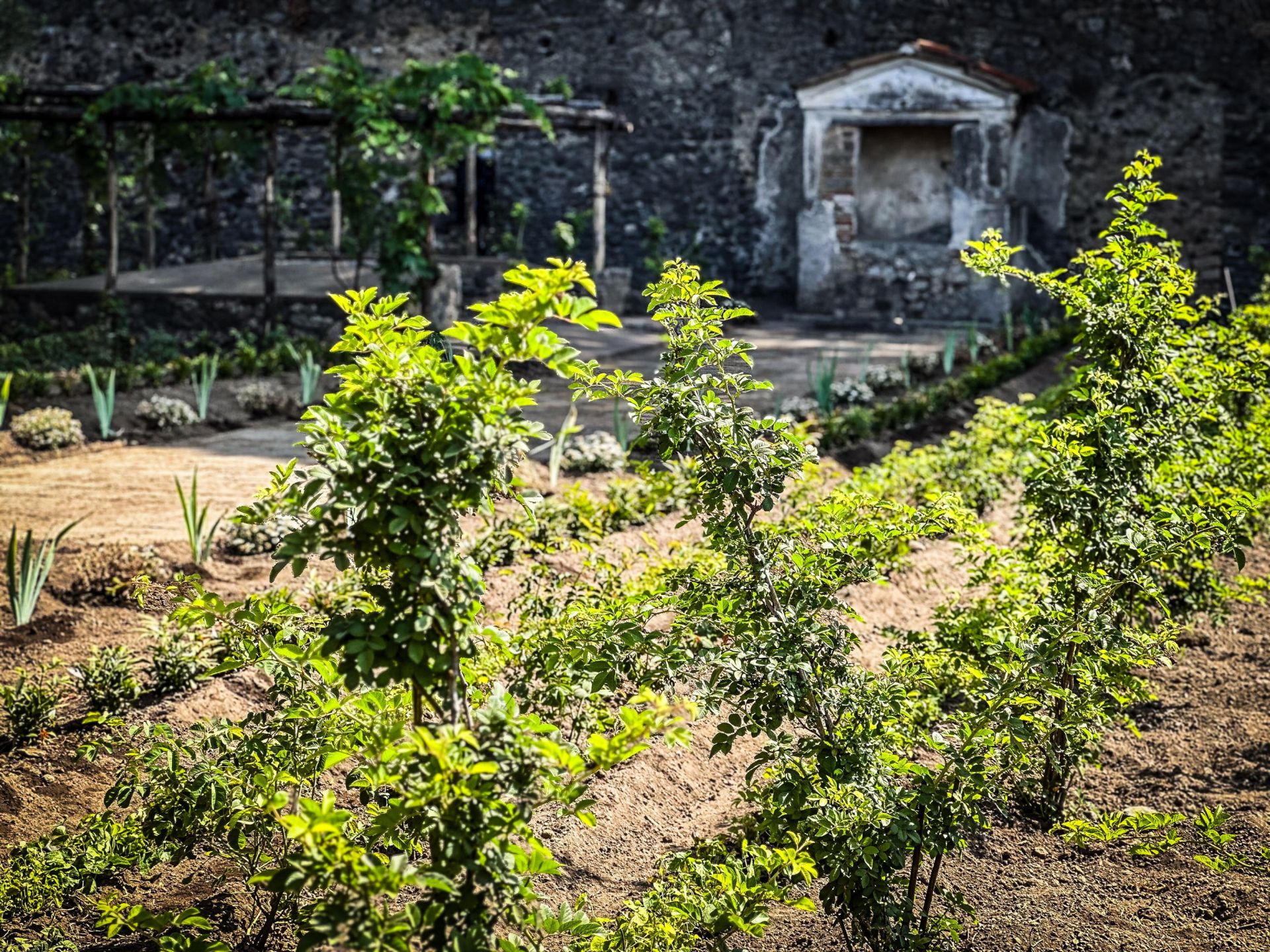 Renace la Casa Jardín de Hércules en Pompeya