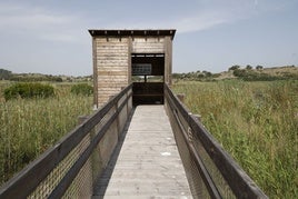 Mirador en la balsa de Sant Llorenç de Cullera.