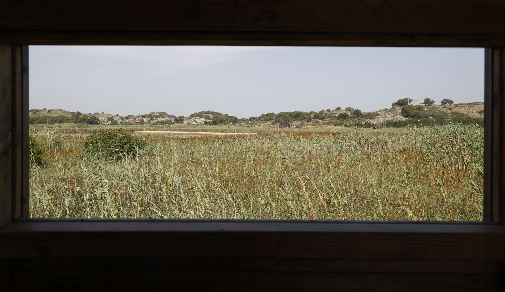 Imagen secundaria 1 - El renacer de la antigua laguna de Sant Llorenç